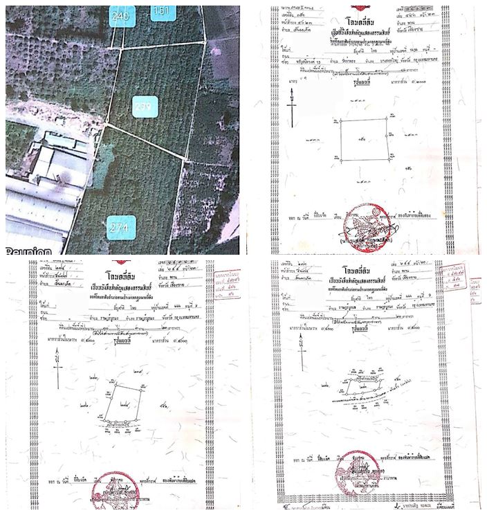 ขายที่ดิน ปลูกสวนยาง 2,000 ต้น 30 ไร่ 3 งาน 98 ตร.ว จ.เชียงราย ติดถนน สายป่าแดด-พาน โทร 0818675639